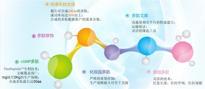 多肽的定制與合成科技含量十足.jpg